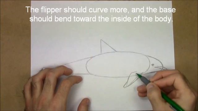 How to Draw a Dolphin смотреть онлайн