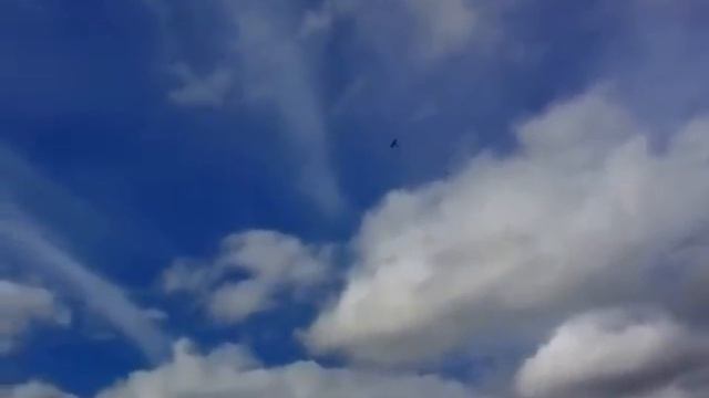 Warbirds Spitfire LF Mk IX flight 2 смотреть онлайн