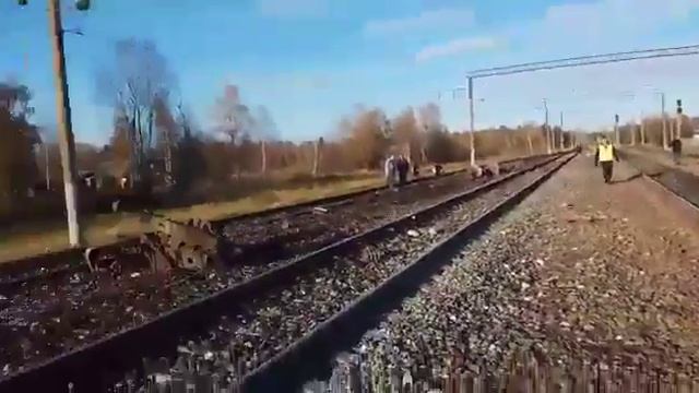 Восточно-Сибирская ЖД, станция Кедровая-Сибирская смотреть онлайн