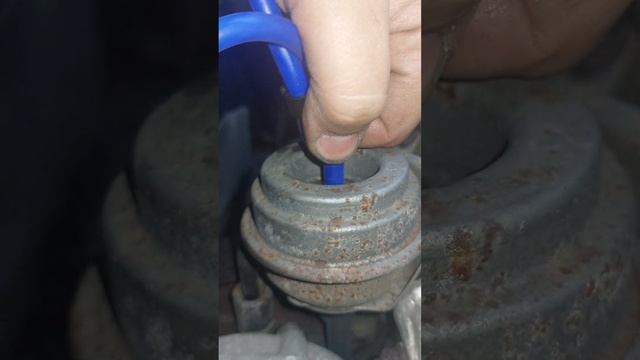 passat 1.9 TDI b5.5 AVB n75 fault ?? смотреть онлайн
