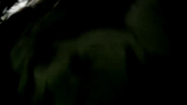 Запись #65 смотреть онлайн