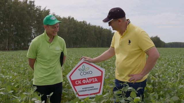 Где растут семена сои Соко? Везде! Обзор новинок с селекционером. смотреть онлайн