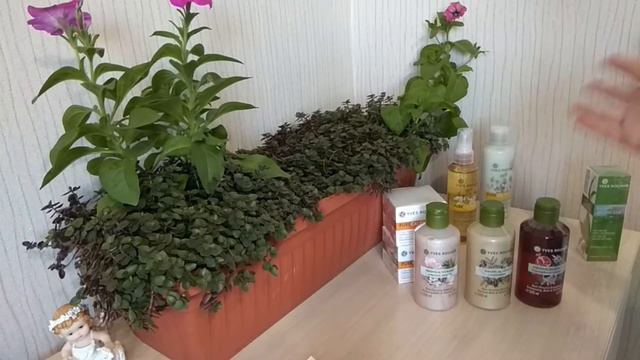 Распаковка заказа Yves Rocher по осн.каталогу красоты с применением экскл-го предложения смотреть онлайн