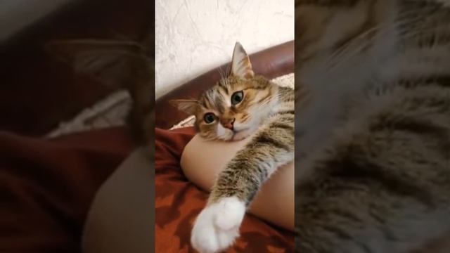 хлеб придумали боги смотреть онлайн