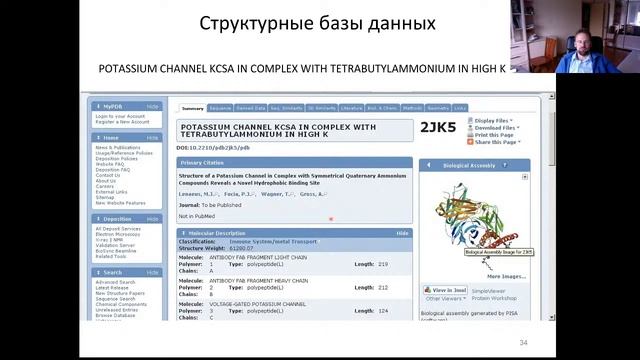 "Введение в биоинформатику": Лекция 3. Биологические базы данных. смотреть онлайн