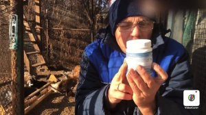 Профилактика от заболеваний у голубей