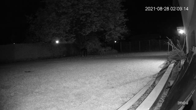 imou bullet 2 with 4mp and Cams Automatic Motion Spotlight at Night смотреть онлайн