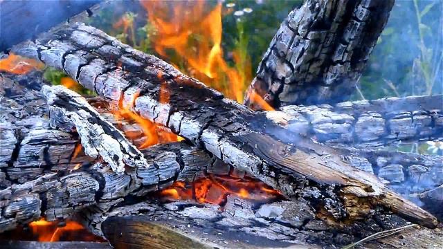 Костер. Горящий Костер. Горит Костер. Огонь, Пламя, Языки Пламени. Огонь Видео. Костер Видео смотреть онлайн