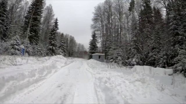 1 га за два дня. СУГРОБЫ, ЛЕС и ДАЛЬНЯЯ ДОРОГА смотреть онлайн
