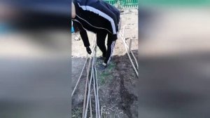 Декоративный забор для огорода