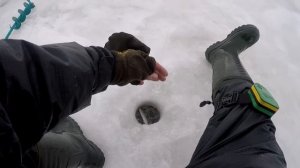 СЕКРЕТНАЯ ПРОВОДКА и ОКУНЬ НЕ УСТОИТ. Ловля крупного окуня на балансир. Горбачи