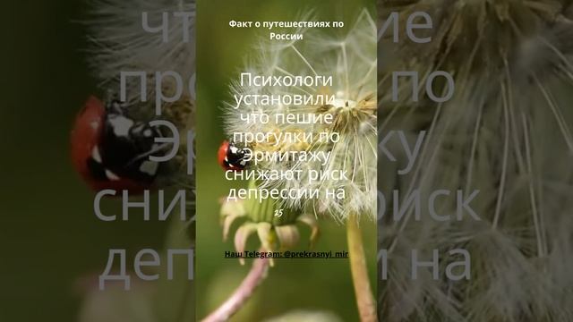 Факт о путешествиях по России смотреть онлайн