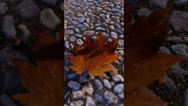 Кленовый лист. хокку. тот ал 5d render смотреть онлайн