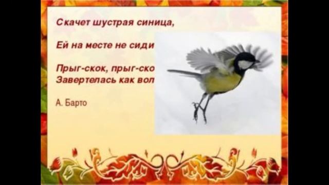 Синичкин день. (Ахматовская с/б) смотреть онлайн