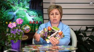 Как Вырастить Баклажан ? Посадка и Уход ✔️