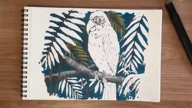 HUDOCAT sketching, рисуем попугая в джунглях смотреть онлайн