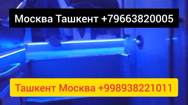 Москва Ташкент автобус 2023 Ташкент Москва автобус прямой рейс 2023 смотреть онлайн