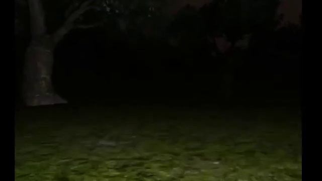 Видео игры Слендер мэн (Slender Man) смотреть онлайн