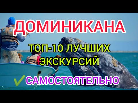 ДОМИНИКАНА 2022: что посмотреть САМОСТОЯТЕЛЬНО? Доминикана отдых, экскурсии, лучшие пляжи.ПУНТА КАНА смотреть онлайн