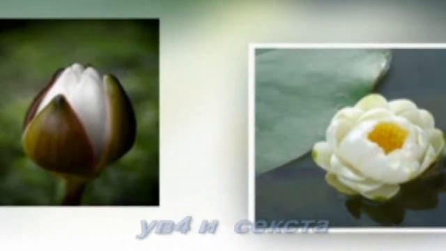 Какие они   интервалы тритоны