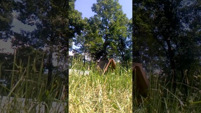 Parkour: Speed Vault progression смотреть онлайн