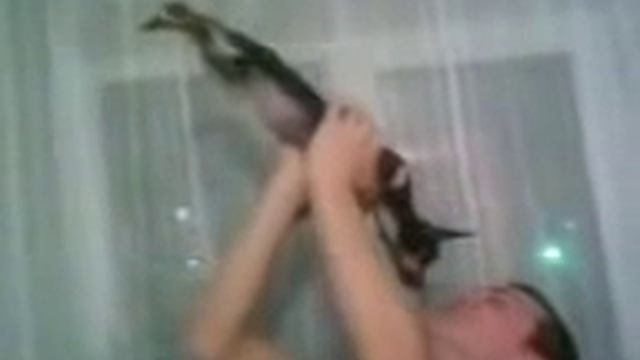 Надуваем собачку)) смотреть онлайн