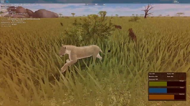 Roblox - Testing A | ''Hunting a zebra and protecting it from hyenas.'' смотреть онлайн