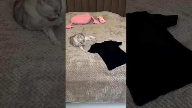 И так каждый раз смотреть онлайн