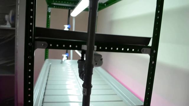 Стеллаж для микрозелени и рассады на заказ. смотреть онлайн