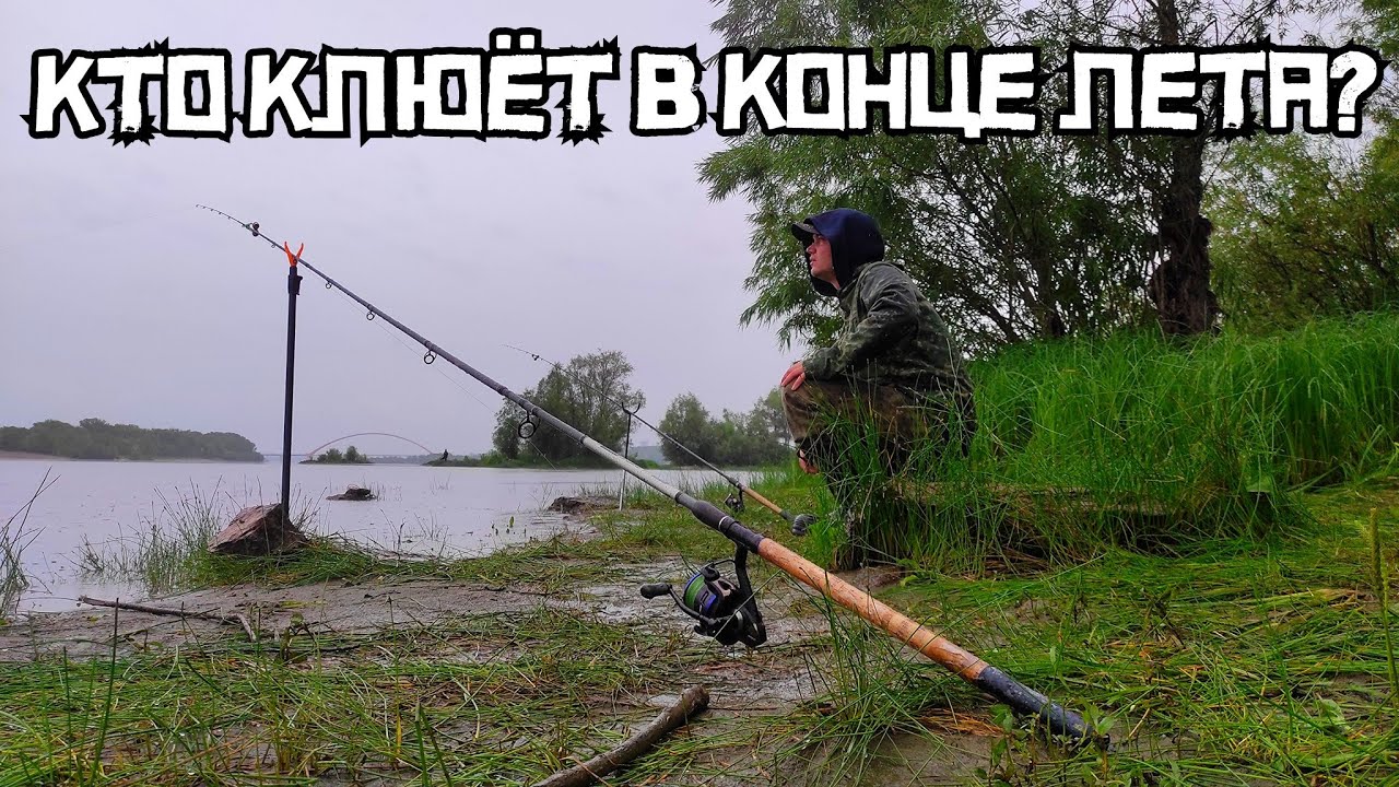 ОНИ ОДУРЕЛИ в ЛИВЕНЬ! Жёлтые ЛОПАТЫ загибают донки! Это лещи Рыбалка 2023 смотреть онлайн