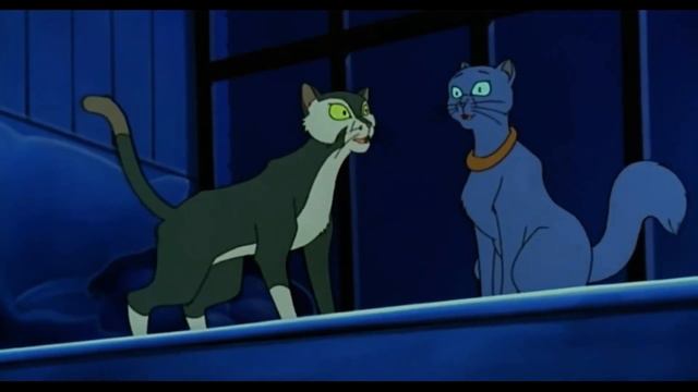 ~Felidae. Francis And Felicity~