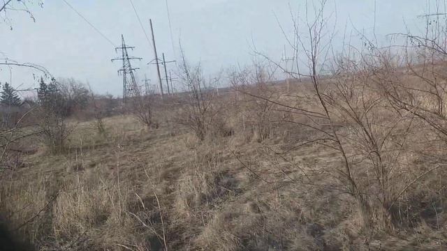 Садим мордовник. Лучший медонос. смотреть онлайн