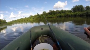 Ставлю кружки и ловлю плотву на реке | Рыбалка летом