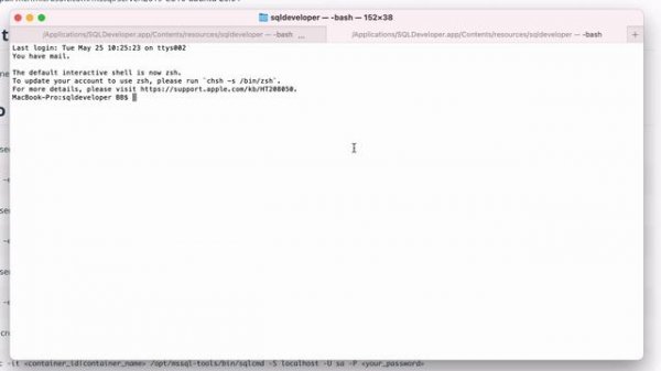 How to Set Up SQL Server Database with Docker