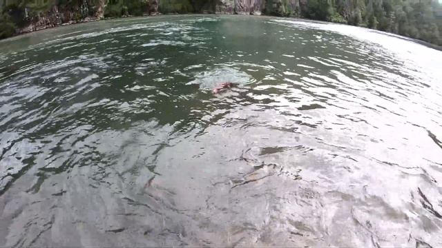 Рыбалка на Камчатке, август 2020г. Kamchatka fishing - august 2020 смотреть онлайн