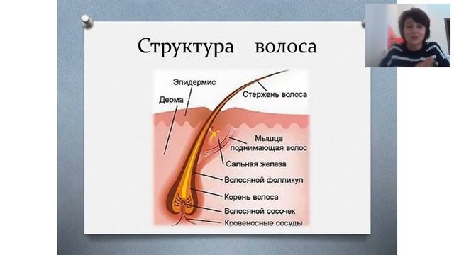 «Эстетический уход за кожей и волосами». Вебинар Людмилы Поповой. смотреть онлайн