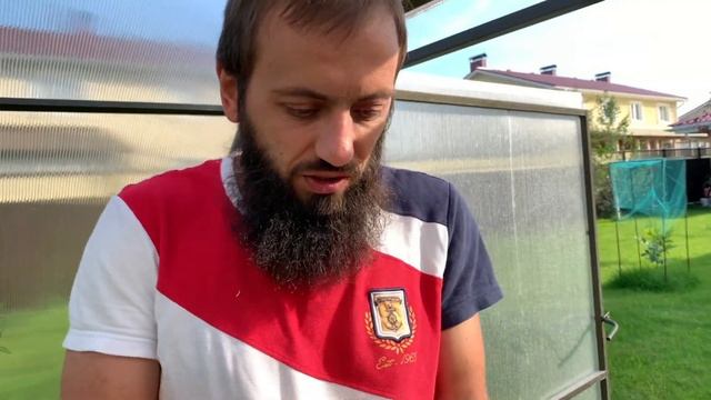 ЧЕРРИ ПОМИДОРЫ ПЕРВЫЙ УРОЖАЙ  ? СУПЕР ПОДКОРМКА ПОМИДОР