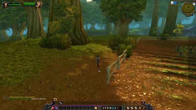 Junge Liebende WoW Classic Quest by iZocke смотреть онлайн