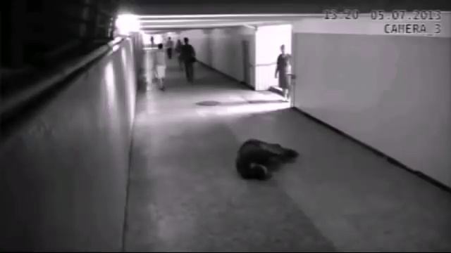 Kung Fu Street Fights Compilation. смотреть онлайн