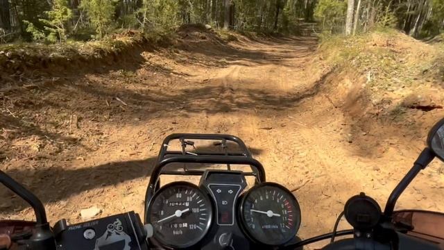 Альфа форестер смотреть онлайн