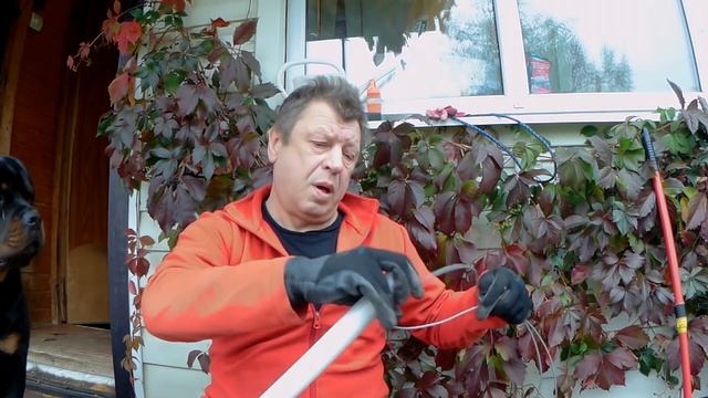 КАК ОБЕЗВРЕДИТЬ КРУПНУЮ СОБАКУ. смотреть онлайн