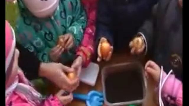 Детский сад №5 г. Рошаль Экологическая тропа