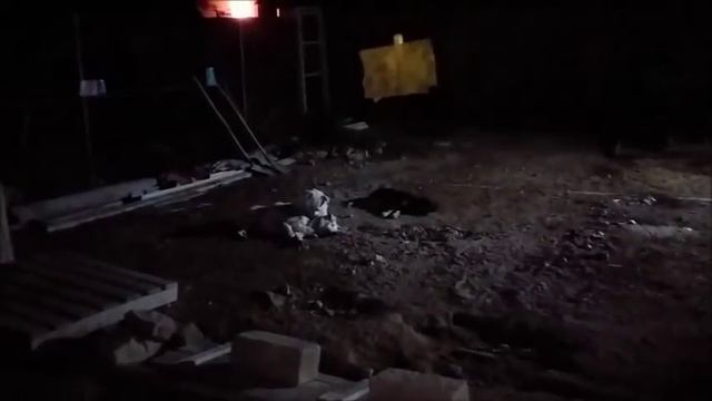Субботний день в приюте Черныш радует нас изо дня в день смотреть онлайн