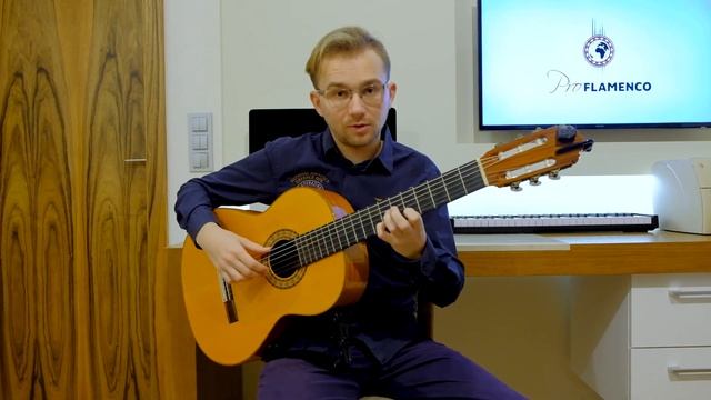 Beautiful Spanish Guitar Chords with Tabs - Flamenco Guitar Lesson for Beginners (Part 2) смотреть онлайн