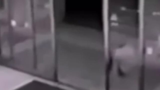 Това Същество в Египет са го Заснели на Камера смотреть онлайн
