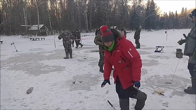 Поимки форели до и после запуска. Клёвое место, Лосиный остров, верхний водоём. смотреть онлайн