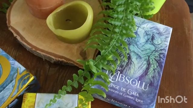 Présentation oracles de Gabriel Leroy . Des mondes à part ...à part entière#Shambhala смотреть онлайн