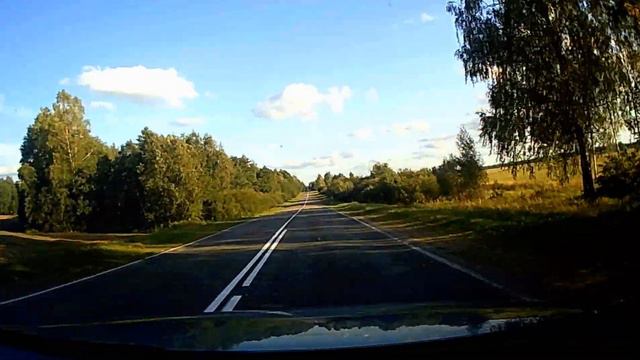 Не сбить птицу смотреть онлайн