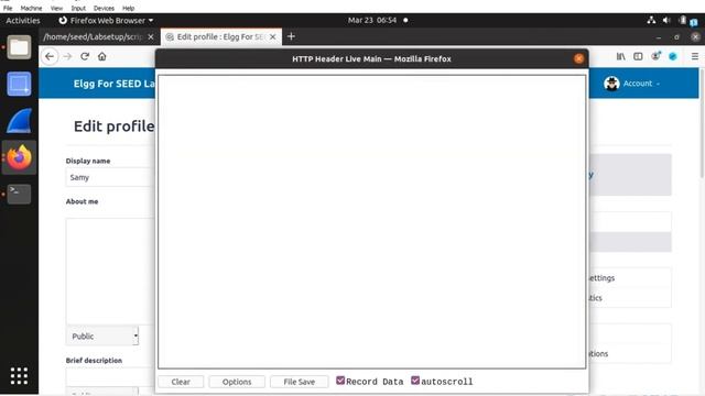 Seed XXS Lab Ubuntu 20.04 смотреть онлайн
