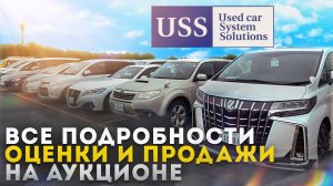 Раскрываем оценку аукциона USS TOKYO. ЗАНИЖАЮТ или ЗАВЫШАЮТ?! 10 000 Эксклюзивных автомобилей.